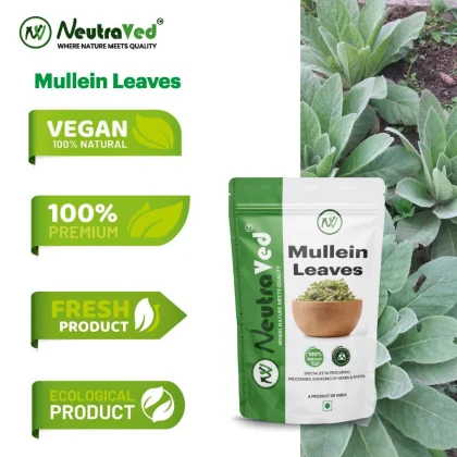 Mullien Leaves image 6